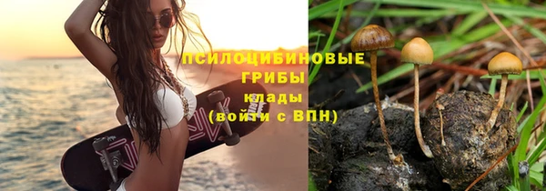 MDMA Белокуриха