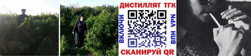 купить наркоту  omg tor  ТГК концентрат  Торжок 